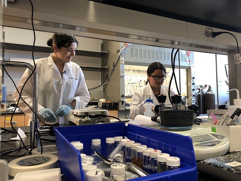 two female researchers doing lab work
